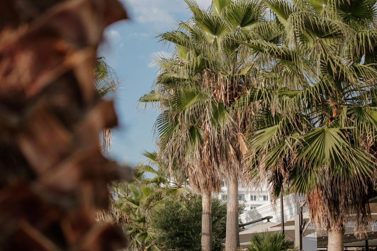 Klajdi Resort & Spa غوليم المظهر الخارجي الصورة Palm trees in the city